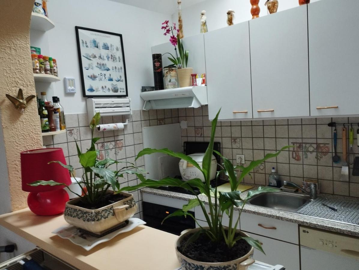 סן מלו Chambre D'Hote Dans Maison Individuelle מראה חיצוני תמונה